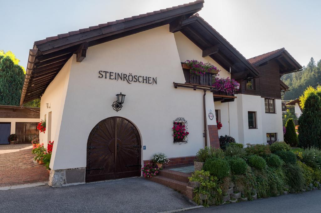 ゼーフェルト・イン・チロルHaus Steinroeschenアパートメント エクステリア 写真